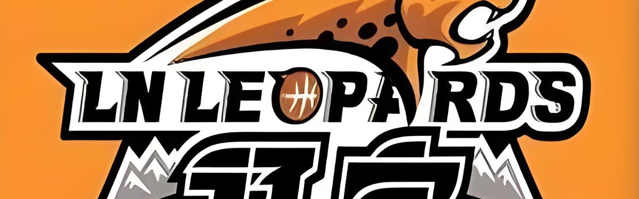 开云app下载-输新疆队19分！揪出三个“废柴” 坑惨了辽宁队