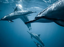 kaiyun-足球史梦之队替补阵容：克圣领衔二阵 三阵3现役